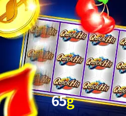 Programa VIP 65g